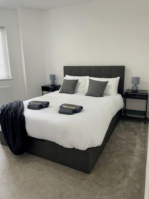 Elegant Belfast City Centre Apt Walk Everywhere Exteriör bild